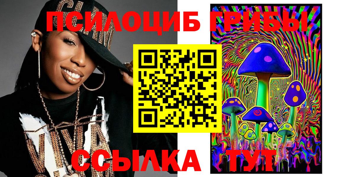 Ступино  купить закладку  Вход с VPN  Галлюциногенные грибы Psilocybe 